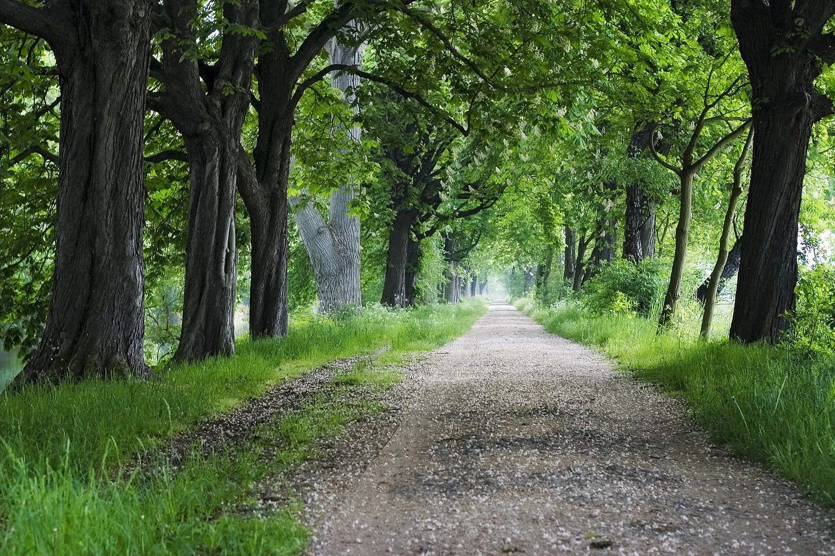 Desire for a new way of being